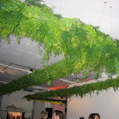 At the Friends of the High Line benefit dinner Bronson van Wyck created a spectacular 700-foot indoor version of the High Line by suspending hundreds of bunches of springerii and asparagus ferns from the ceiling.