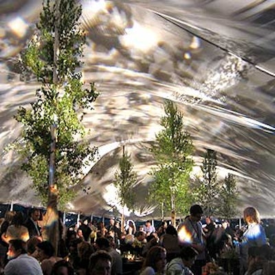 Leaf patterns were projected onto the inside roof of the tented dining area.