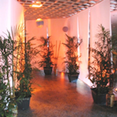 Guests walked down an Asian-inspired pathway for the Florida Aquarium's Sushi Showdown.