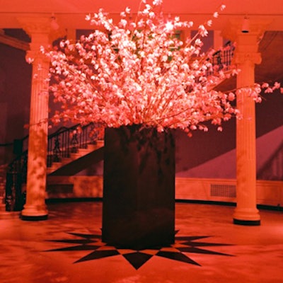 An enormous floral display of 2,500 pink cymbidium orchids hand-tied to cherry branches by Kurt Rausch of Kurt Rausch for Flowers filled the museum's rotunda.