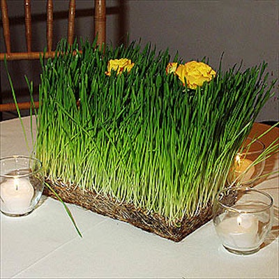 Caterer Shan Willson of Fabulous Food used a few patches of wheat grass with flowers and white votive candles to create table accents in a private loft space.