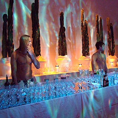 ThePartyCrew.net's half-clad men poured drinks at several bars under shimmering blue lights.