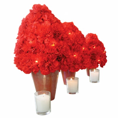 Botanica Inc.'s carnation decor