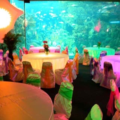 Planners can take advantage of the colorful aquatic view at the Florida Aquarium.