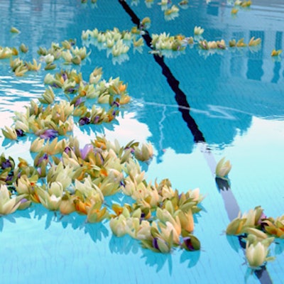 Orchids floated in the pool.
