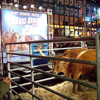 The Fort Worth convention and visitors bureau marched a herd of massive steer into Times Square, and penned them in on 44th Street in front of Times Square Studios.