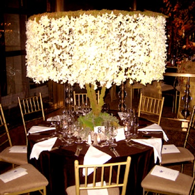 Connie Plaissay of Plaza Flowers designed a canopy of white orchids that covered much of his table. The piece was evocative of a tree, with moss-covered trunks and a base composed of a mound of small stones and greenery.