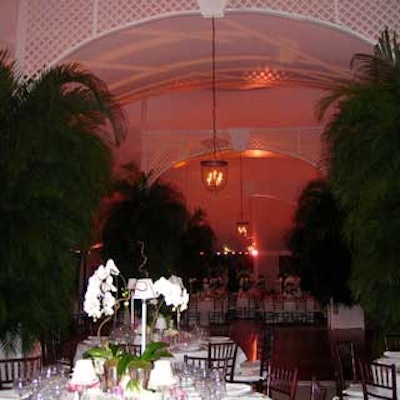 Suspended from the tent's ceiling were lattice arches with glass lanterns and enormous palm trees on either side.