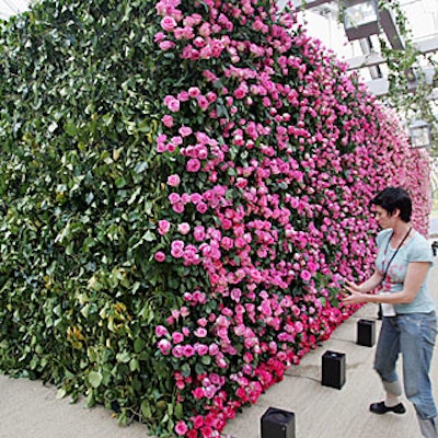 Avila decorated the reception area with two walls of red, pink, and fuschia roses.