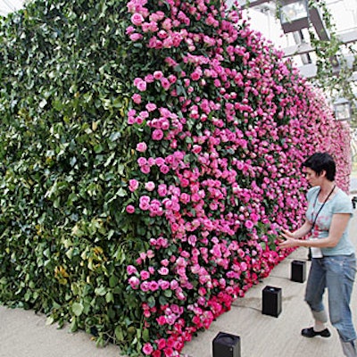 Avila decorated the reception area with two walls of red, pink, and fuschia roses.