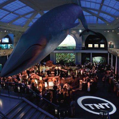 TNT held its party after the screening of Into the West in the American Museum of Natural History's Hall of Ocean Life.
