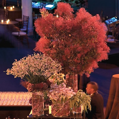 Small vases of curly willow and cobra lilies accented larger, unusual arrangements of smokebush and red sunflowers at the after-party in the Hall of Ocean Life.