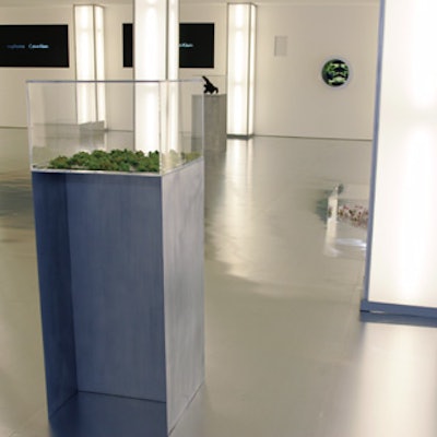 Lauren Messelian of Florishop put together a display of objects that tied into the origins of the fragrance and the landscapes in Fabien Baron’s promotional videos—including some cases exhibited on the floor.