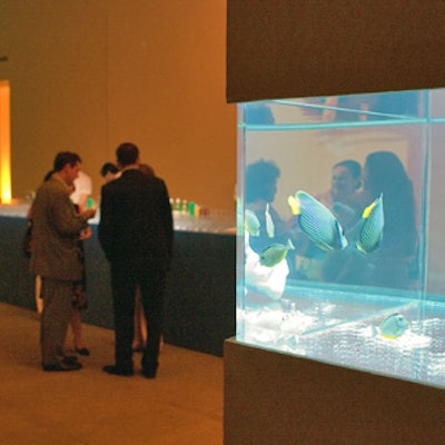 Justin Muir from City Aquarium built tanks for tropical fish inside custom furniture pieces.