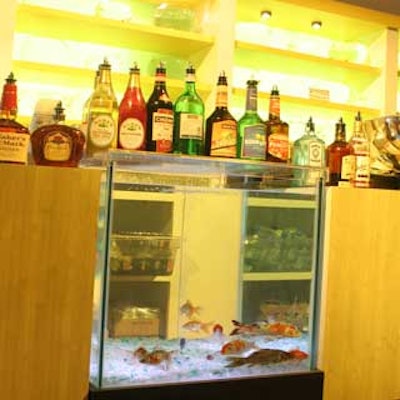 Even the bars reflected the nature theme—they were made with glass tanks filled with koi.