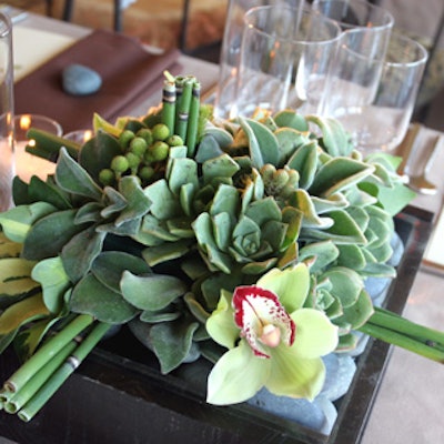 Centerpieces were square boxes of black wood and lucite filled with river rocks, succulents, and cymbidiums.