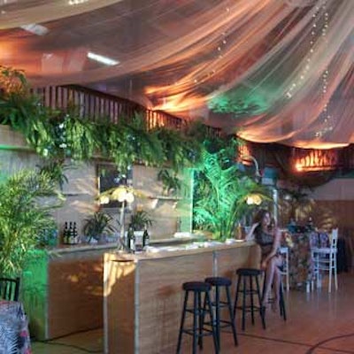 Temporary Tropics provided plenty of lush foliage to create an authentic jungle environment inside the Old School Square Cultural Arts Center.
