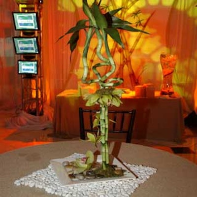 Cocktail table centerpieces were made of lucky bamboo, river rocks, and orchids.
