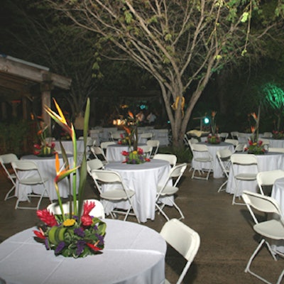 Curbside Florist topped tables with exotic centerpieces.