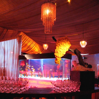 The orange-hued tent featured a large fish tank filled with the orange Koi fish.