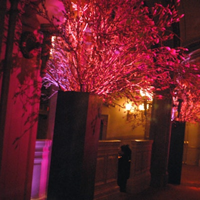 Kurt Rauch for Flowers' large magnolia arrangements graced the foyer of the Howard Gilman Opera House.