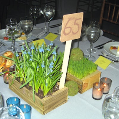 Grey linen tablecloths, flats of grass, sky-blue muscari, moss balls, simple votive candles, and a milk bottle filled with different grasses decorated the tables.