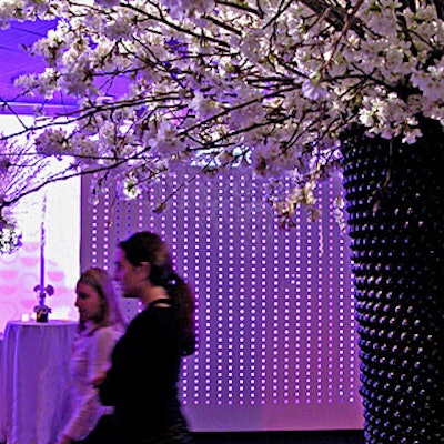 A large display of white cherry branches decorated the party space.