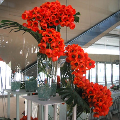 A cascade of orange tulips graced the Roy Thompson Hall reception area.