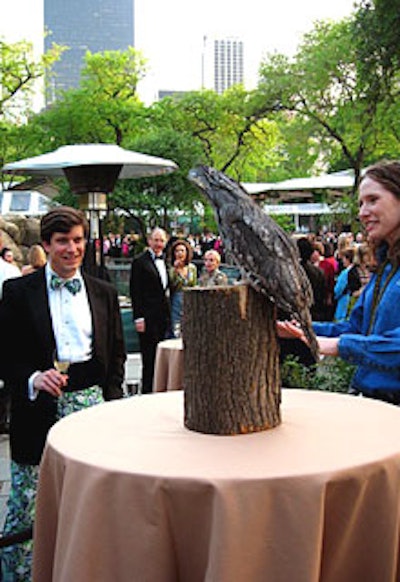 During the cocktail reception, animal handlers from the society brought a frogmouth bird to interact with guests.