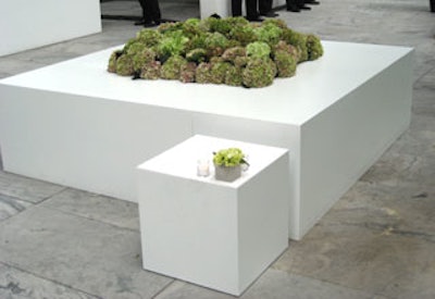 Raul Avila’s floral decor was simple—cube-shaped boxes filled with hydrangeas dotted the space.