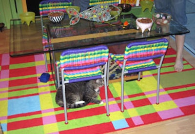 Bowls of Meow Mix sat on the dining room table, which was supported by an empty fish tank. The Humane Society wouldn't allow live fish to fill the tank.