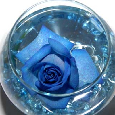 Blue rose centerpieces were found on every table and represented the future condo.