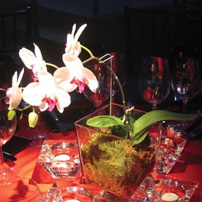 Orchids in square glass vases from It's a Set Up served as centerpieces.