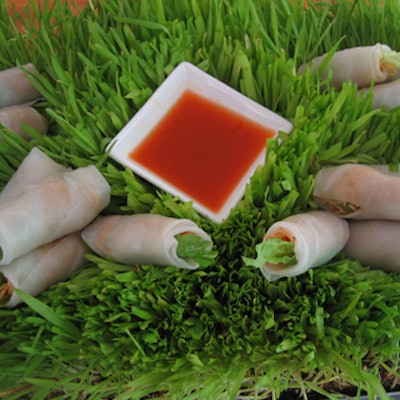 L-Eat catering provided Vietnamese salad rolls displayed on platters covered with cat grass.