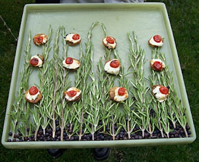 Taste served farm stand eggplant crisps topped with oven-dried cherry tomatoes and fresh mozzarella on a tray covered with stalks of rosemary and juniper berries.