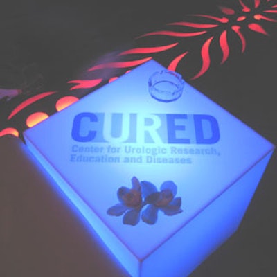 In one of the V.I.P. areas, So Cool Events' acrylic cubes glowed a soft blue and featured sponsor logos on them.
