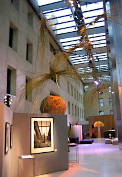 A mobile of weeping willow hung from the ceiling, above the photography exhibit “Getting Ready: the Art of Choice.”