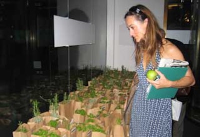 As part of their gift bags, guests were able to choose from a variety of cute potted herbs, housed in nonbleached pots and biodegradable bags, of course.