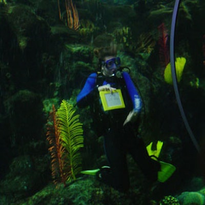 Divers within the coral reef and sea hunt exhibits were writing messages on slates to communicate with guests.