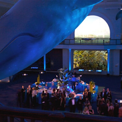 For Condé Nast Traveler’s Readers’ Choice Awards, the American Museum of Natural History’s Millstein Hall of Ocean Life got a tropical, island-shaped centerpiece.