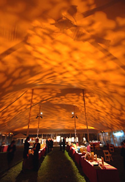 Scharff Weisberg projected leafy patterns onto the ceiling of the tent in which cocktails and the silent auction took place.