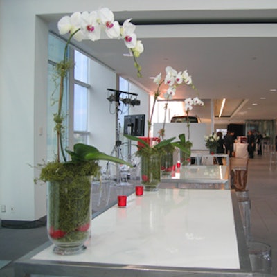 Orchids in glass vases filled with moss and red apples decorated cocktail table tops.