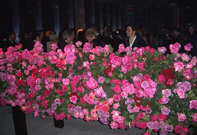 Three islands of roses dotted the room.