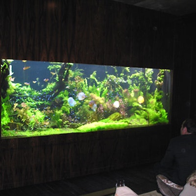 At the high-design Esquire House 360°, the den features a 12-foot-wide built-in aquarium, running the length of the room, that holds 3,500 fish.