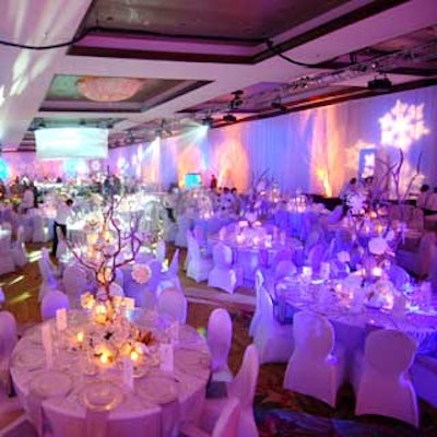 Amber lighting and snowflake gobos projected onto all the walls enhanced the pristine environment.