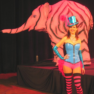 Models from Solutions with Impact posed for pictures in front of prop elephants and zebras.