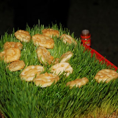 A bed of wheat grass made a simple serving piece for tempura lotus root.