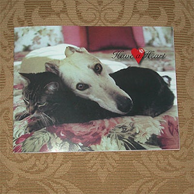 The programs (designed and printed by KR Concepts) featured two of the rescued greyhounds on the cover.