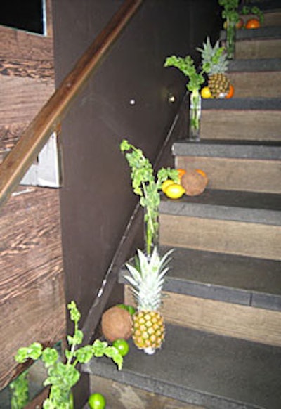 Fruits that referred to the products' ingredients dotted the stairway to Parea's Kava Lounge.