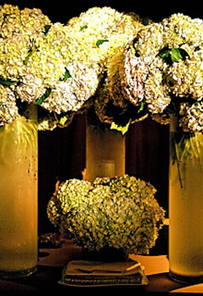 Standing in for clouds were 25,000 blue-and-white hydrangeas.